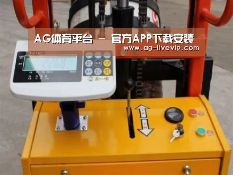 AG体育案例展示三