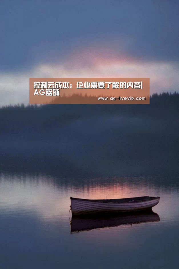控制云成本:企业需要了解的内容|AG篮球(图1) AG赛事