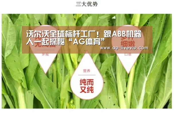 沃尔沃全球标杆工厂!跟ABB机器人一起探秘“AG体育”(图2) AG篮球